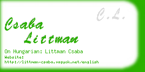 csaba littman business card